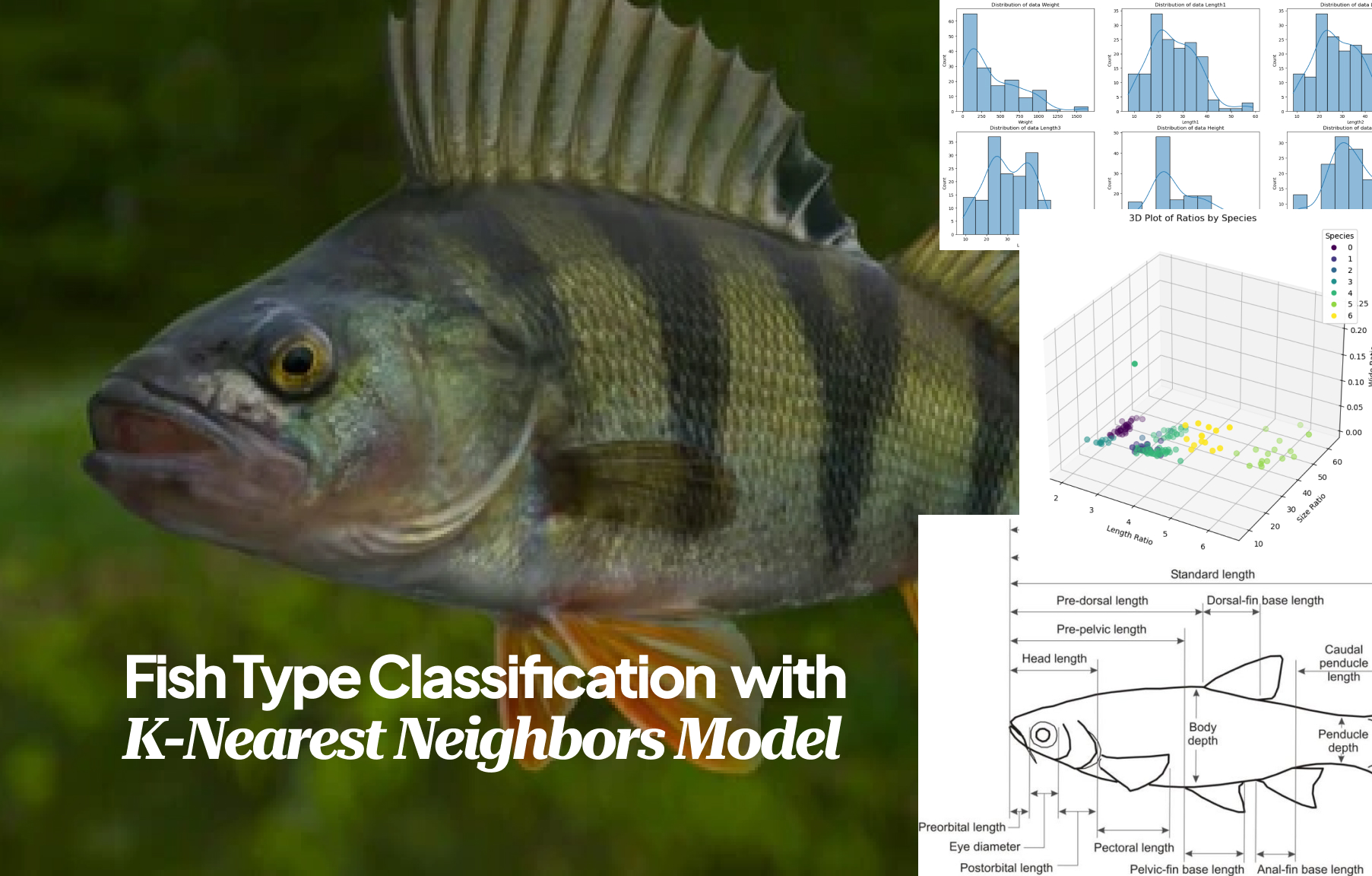 Fish Classification AI | Arsyad Ali Mahardika